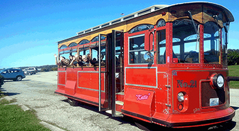 Newport Travel Tours
